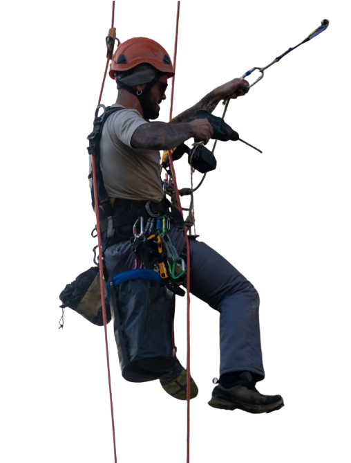 alpinista